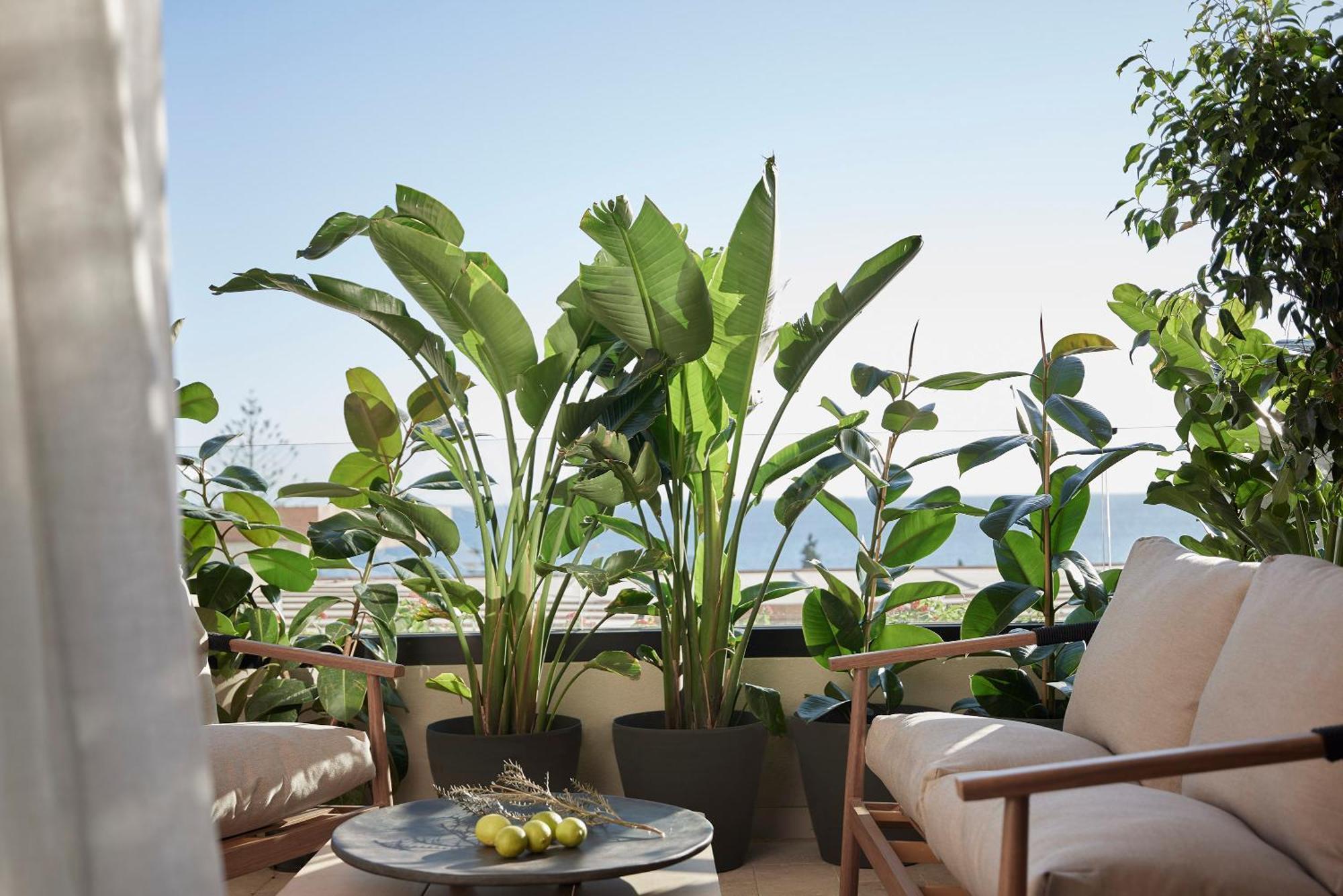 Helea Lifestyle Beach Resort Kallithea  Exterior photo A balcony garden
